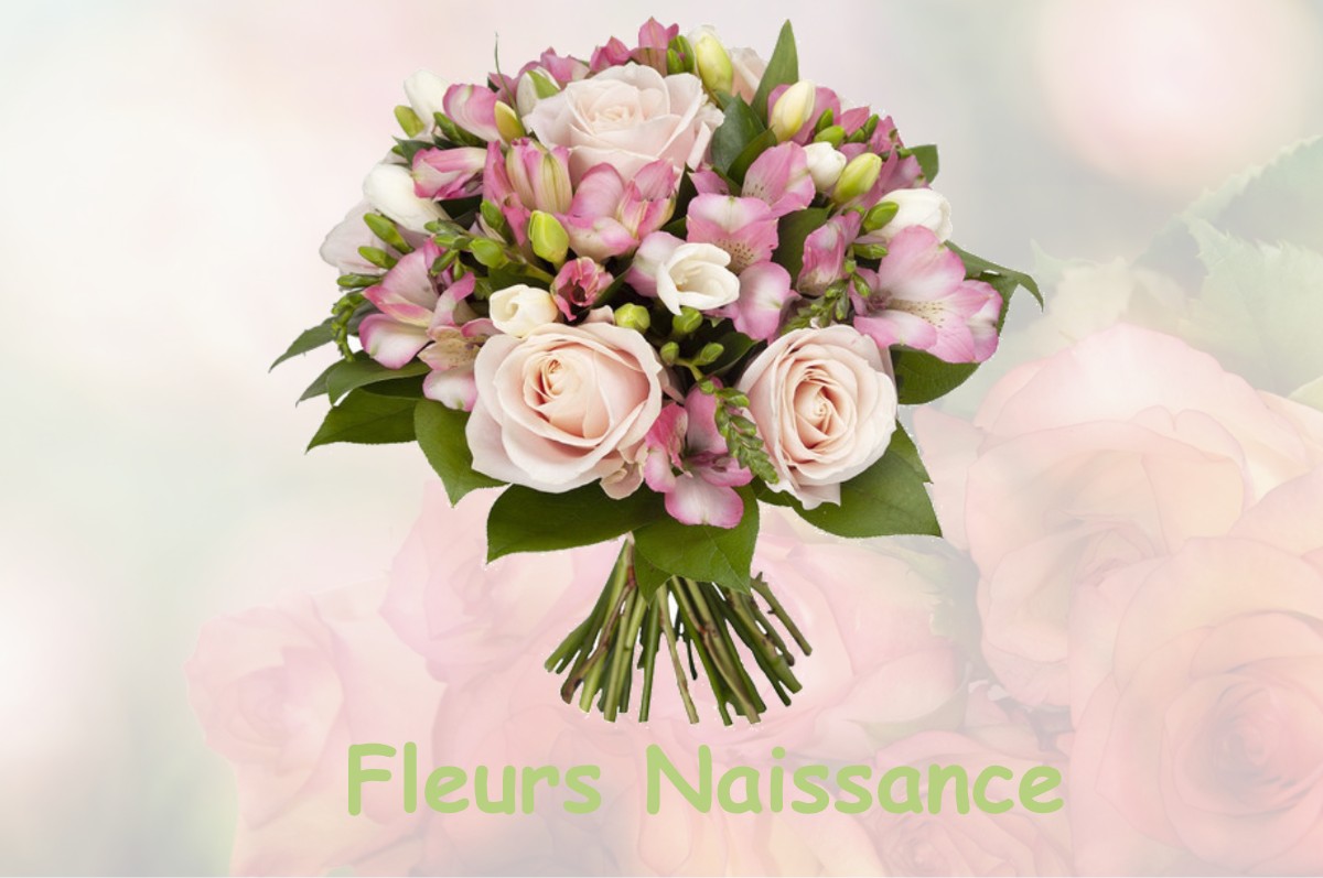 fleurs naissance OUSSIERES