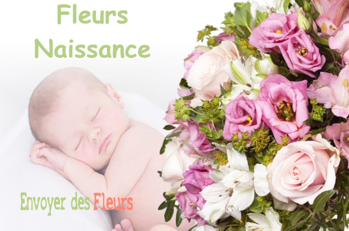 lIVRAISON FLEURS NAISSANCE à OUSSIERES